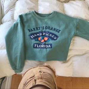 Pale Green Cropped Sweater